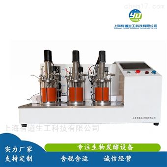 YD-GXL玻璃发酵罐