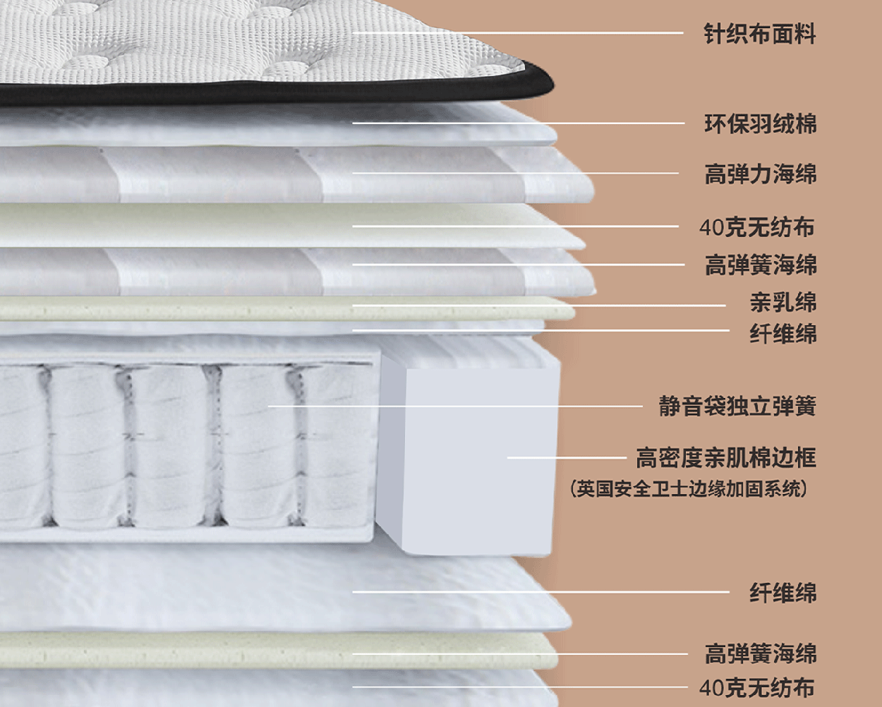 康多纳1_1_10.gif