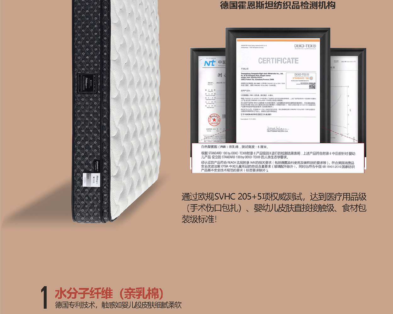 科尔雷恩1_1_06.gif