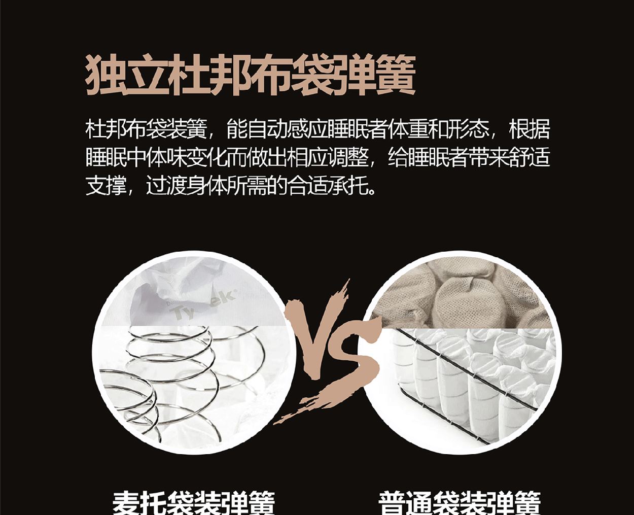 科尔雷恩2_1_05.gif