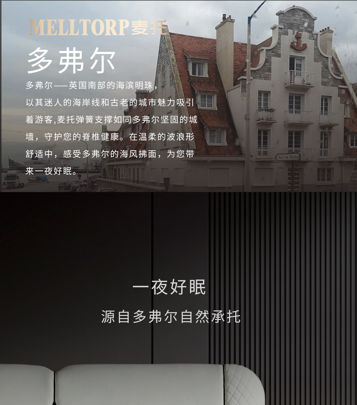 多弗尔-拷贝_01.jpg