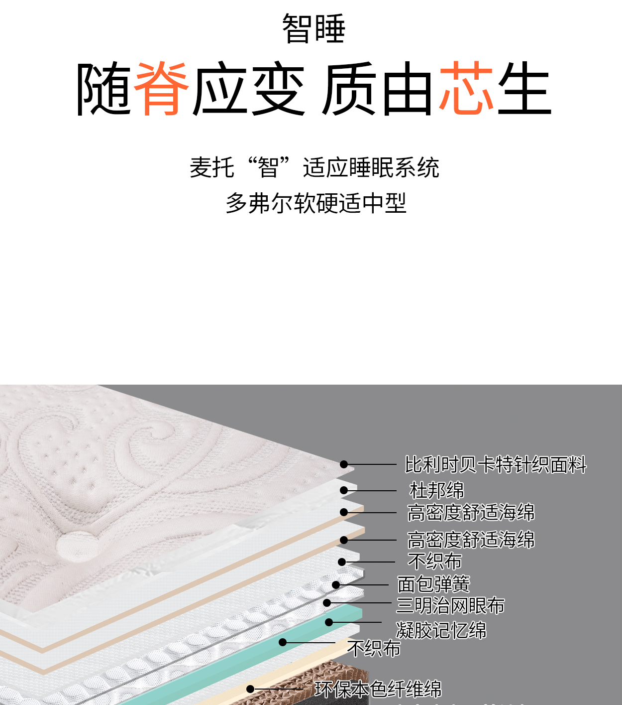多弗尔-拷贝_11.jpg