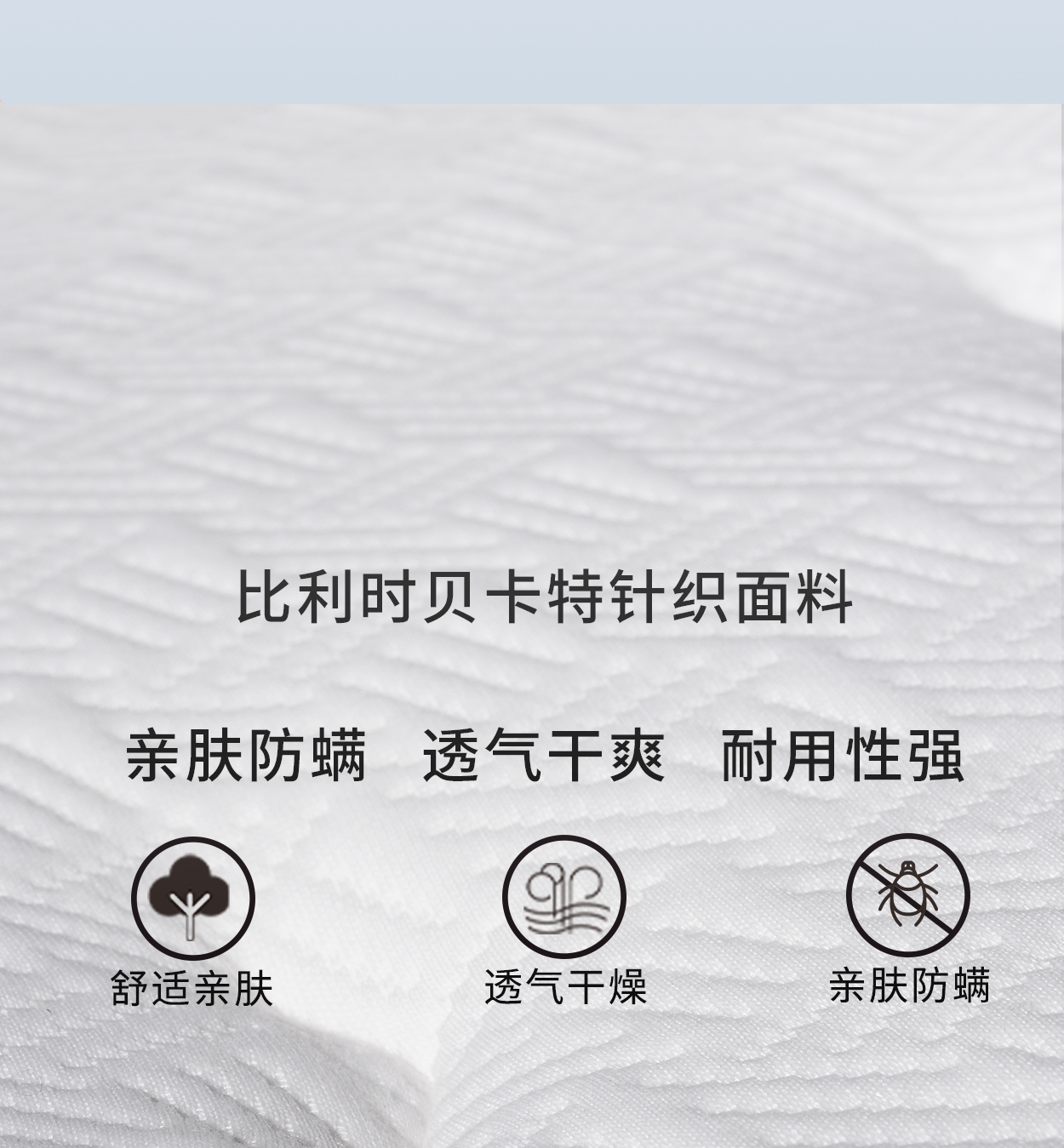 12布特手机_10.jpg